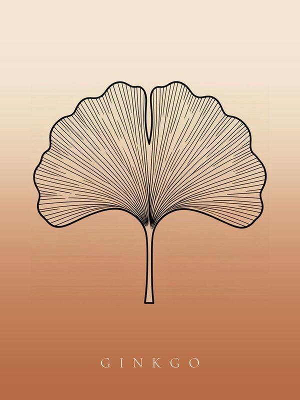 Ginkgo Poster